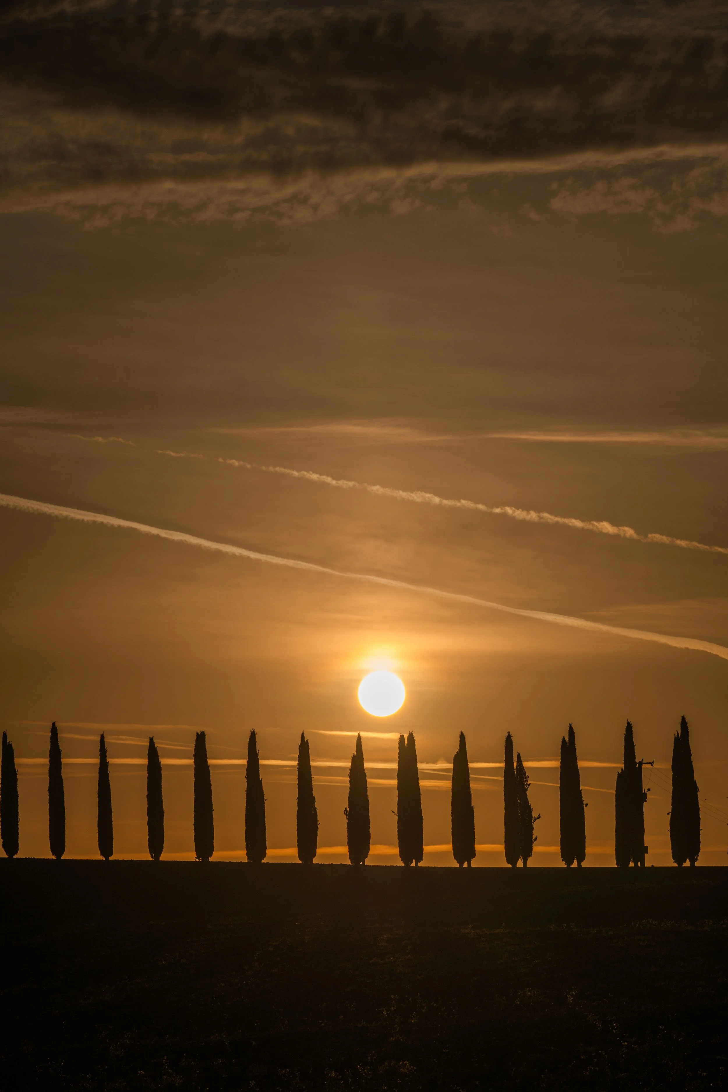 DSC_1820-Edit copy.jpg