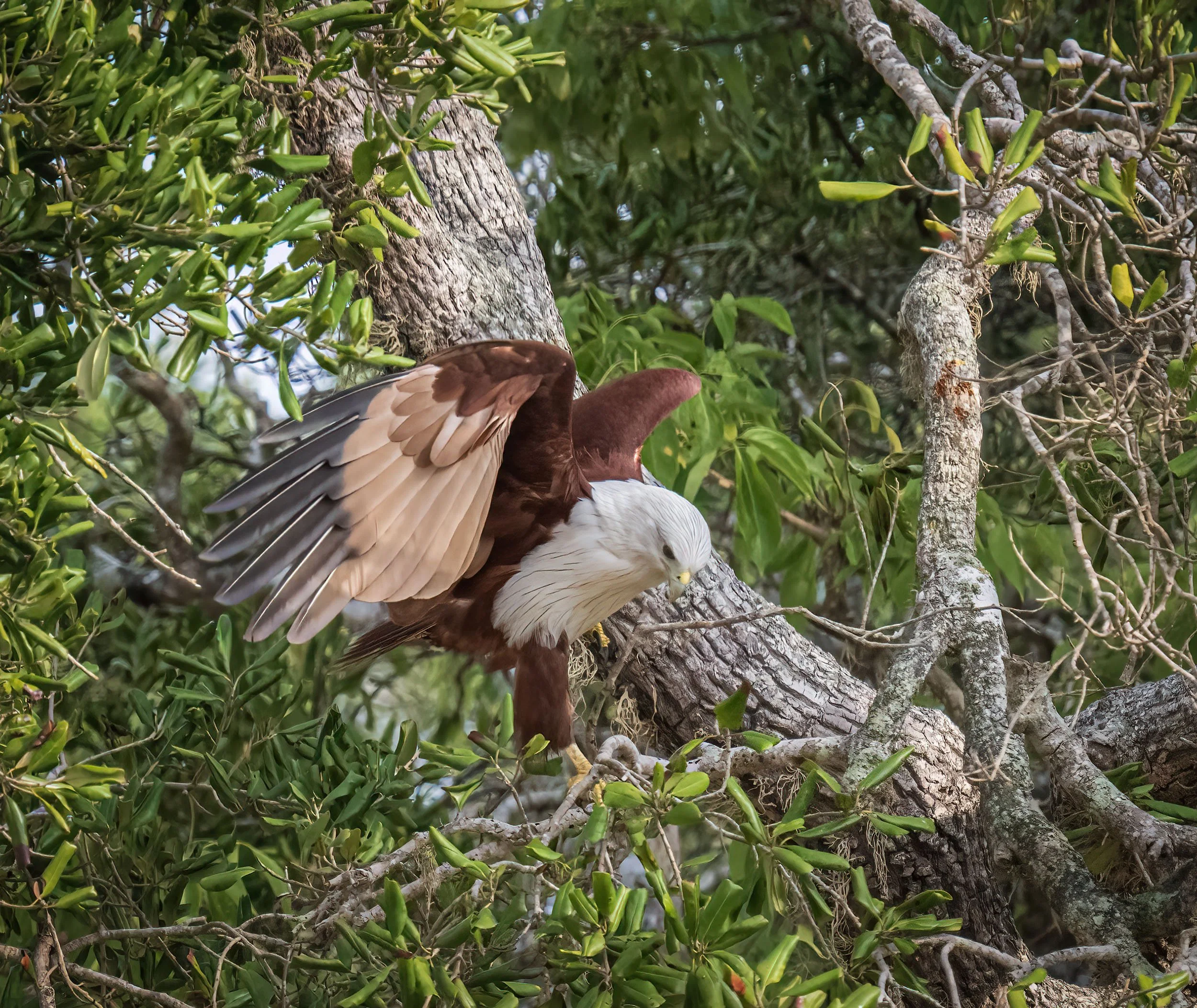 _DSC3164 (1) copy.jpg