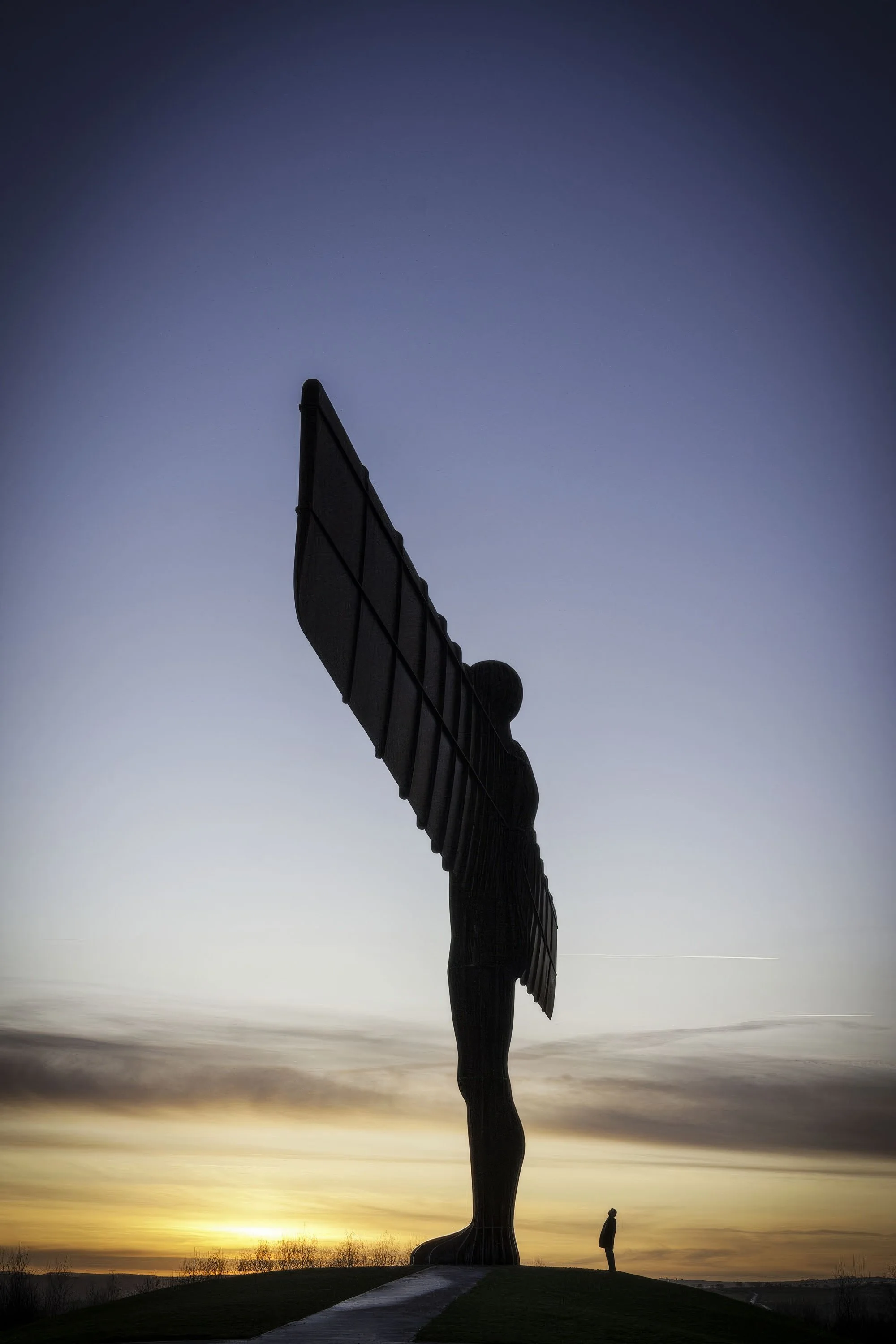 Looking_up-topaz-standard v2-2x.jpg