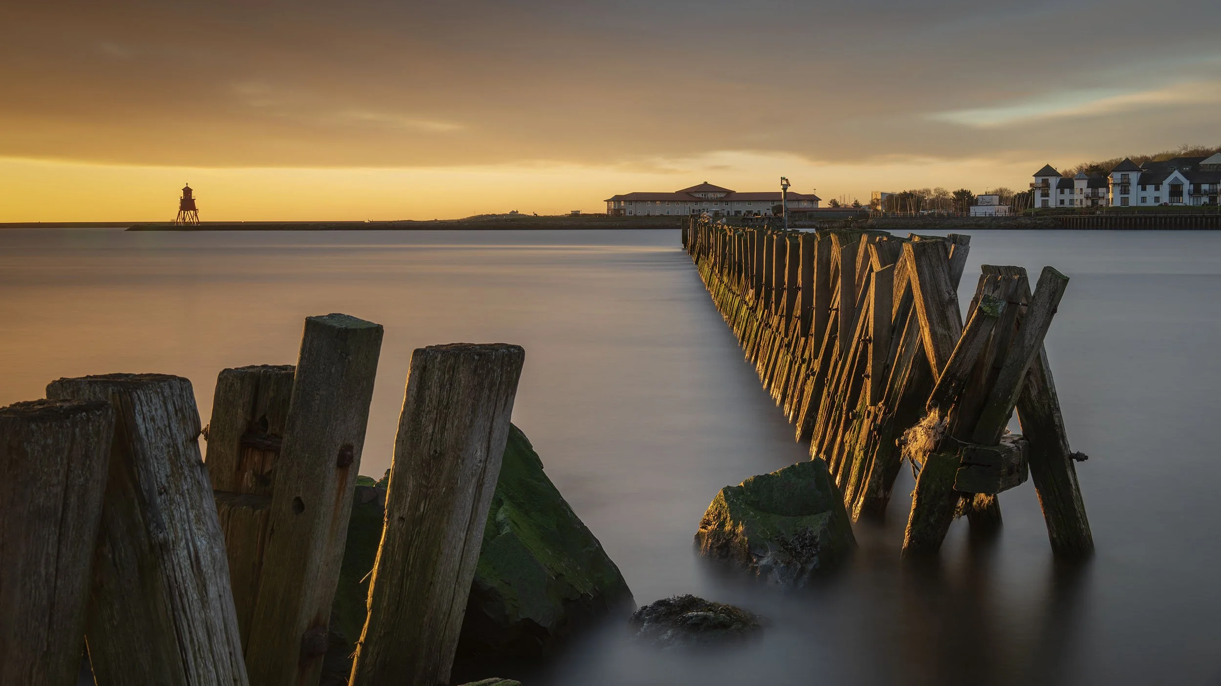 DSC_1248edit copy.jpg