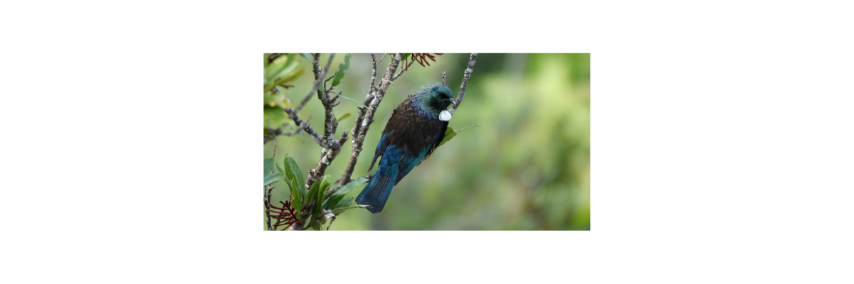 Cecelia Sudden Bay Project