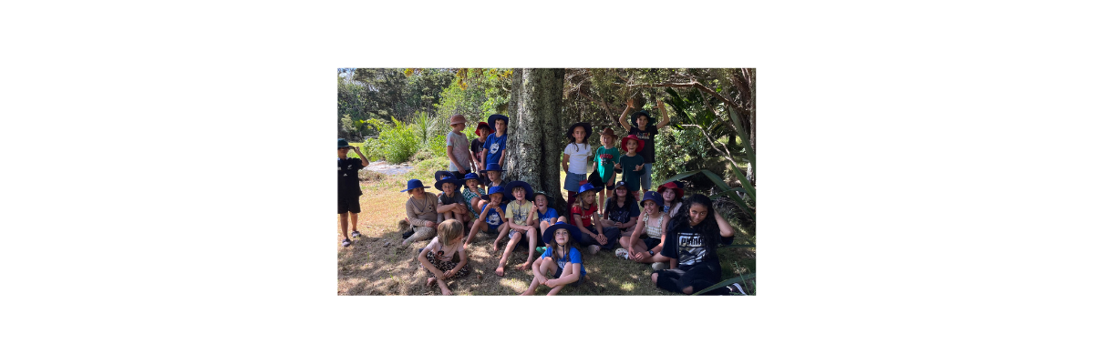 Okiwi Community Ecology Project