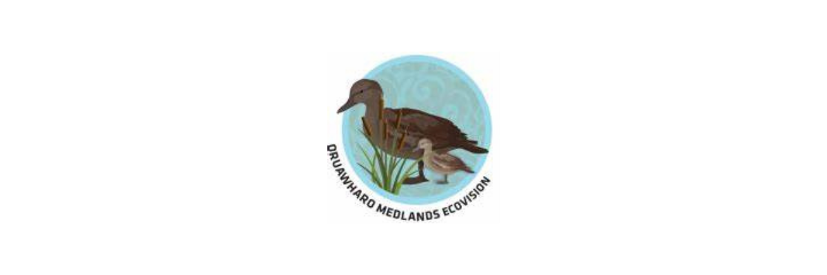 Oruawharo Medlands Ecovision