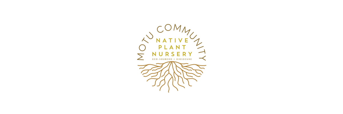 Motu Community Nursery 