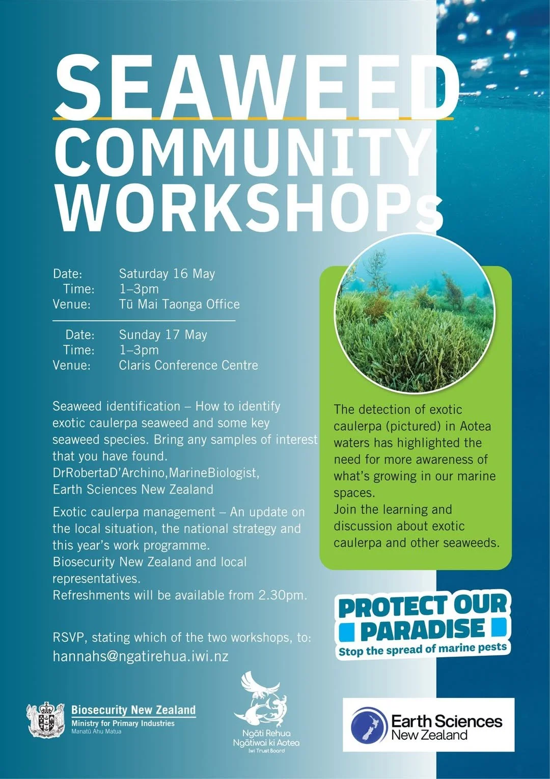 Seaweed Community Workshops