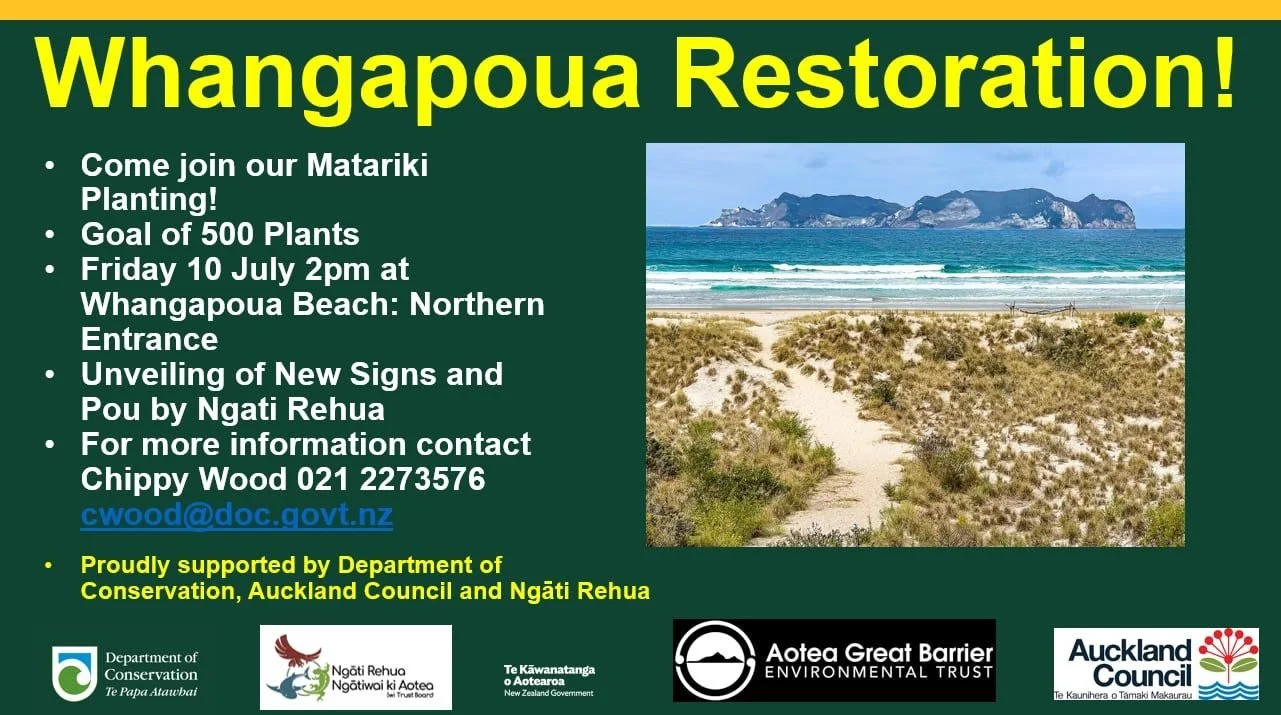 Whangapoua Restoration 