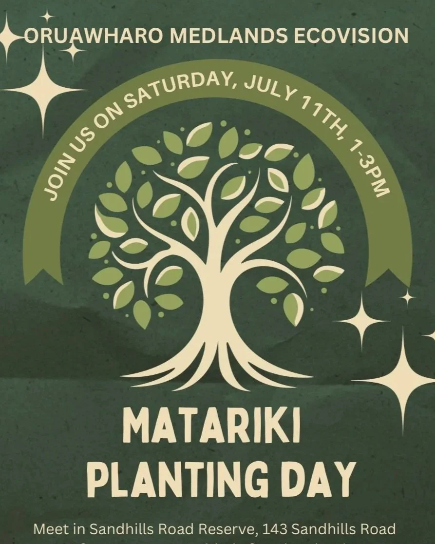 Oruawharo Medlands Ecovision Matariki Community Planting Day