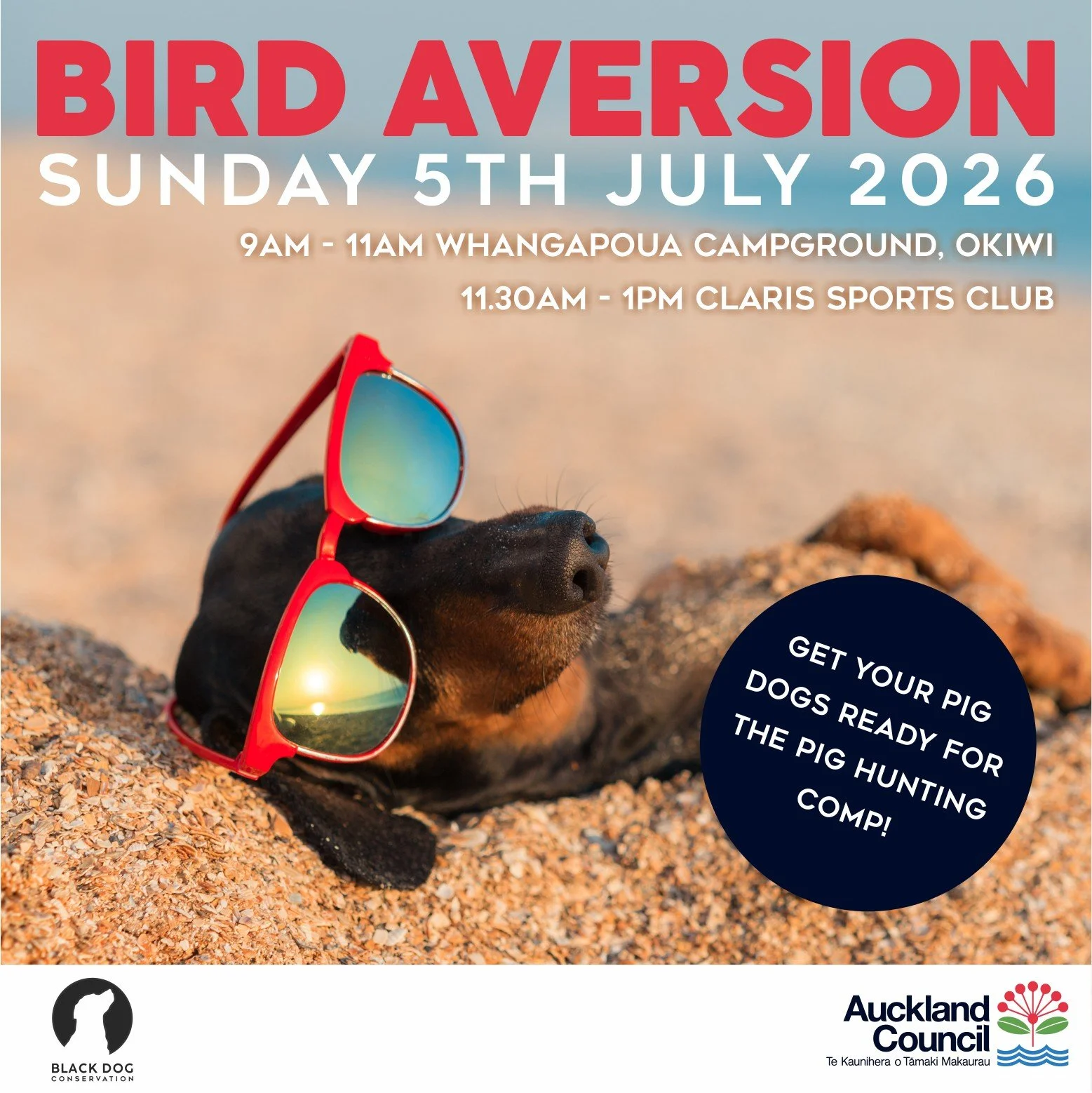 Bird Aversion Training 