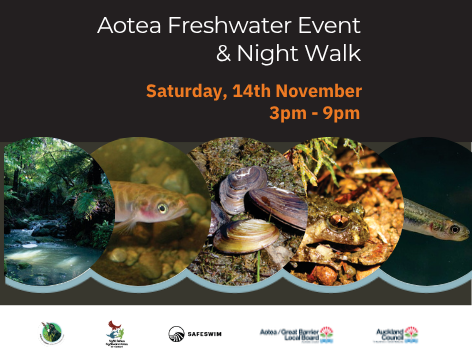 Aotea Freshwater Event &amp; Night Walk
