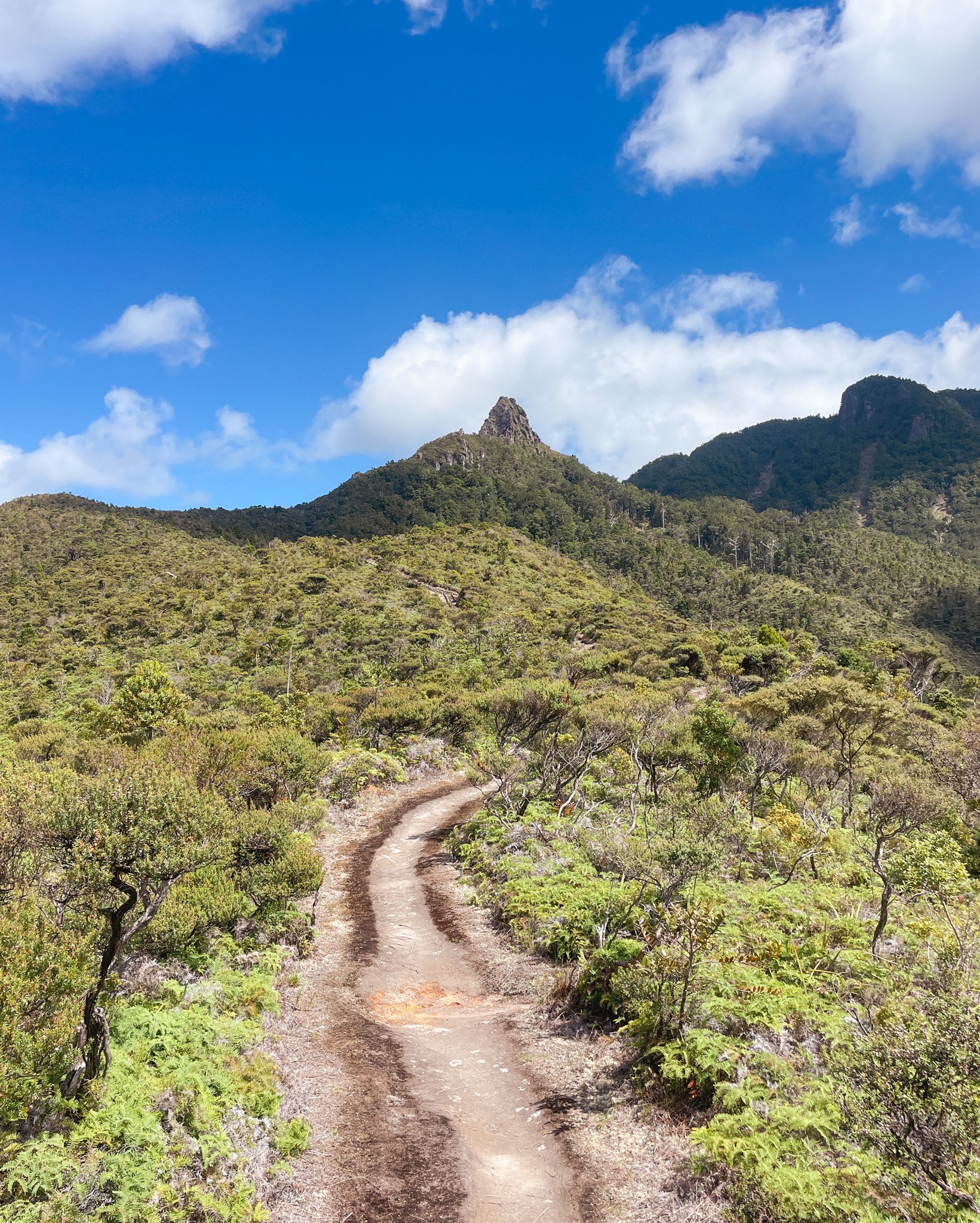 Dirt trail winding through green shrubbery in a mountainous area under a partly cloudy blue sky.
