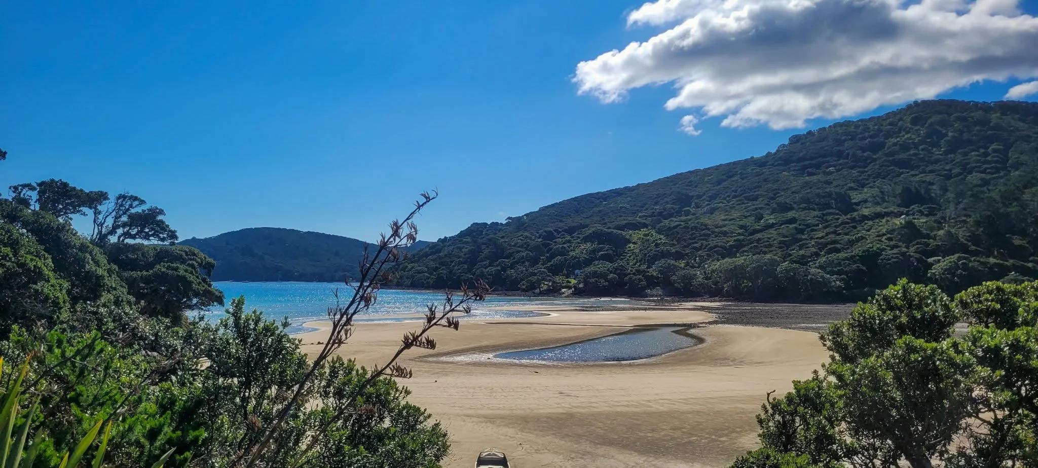 Tryphena, Great Barrier Island