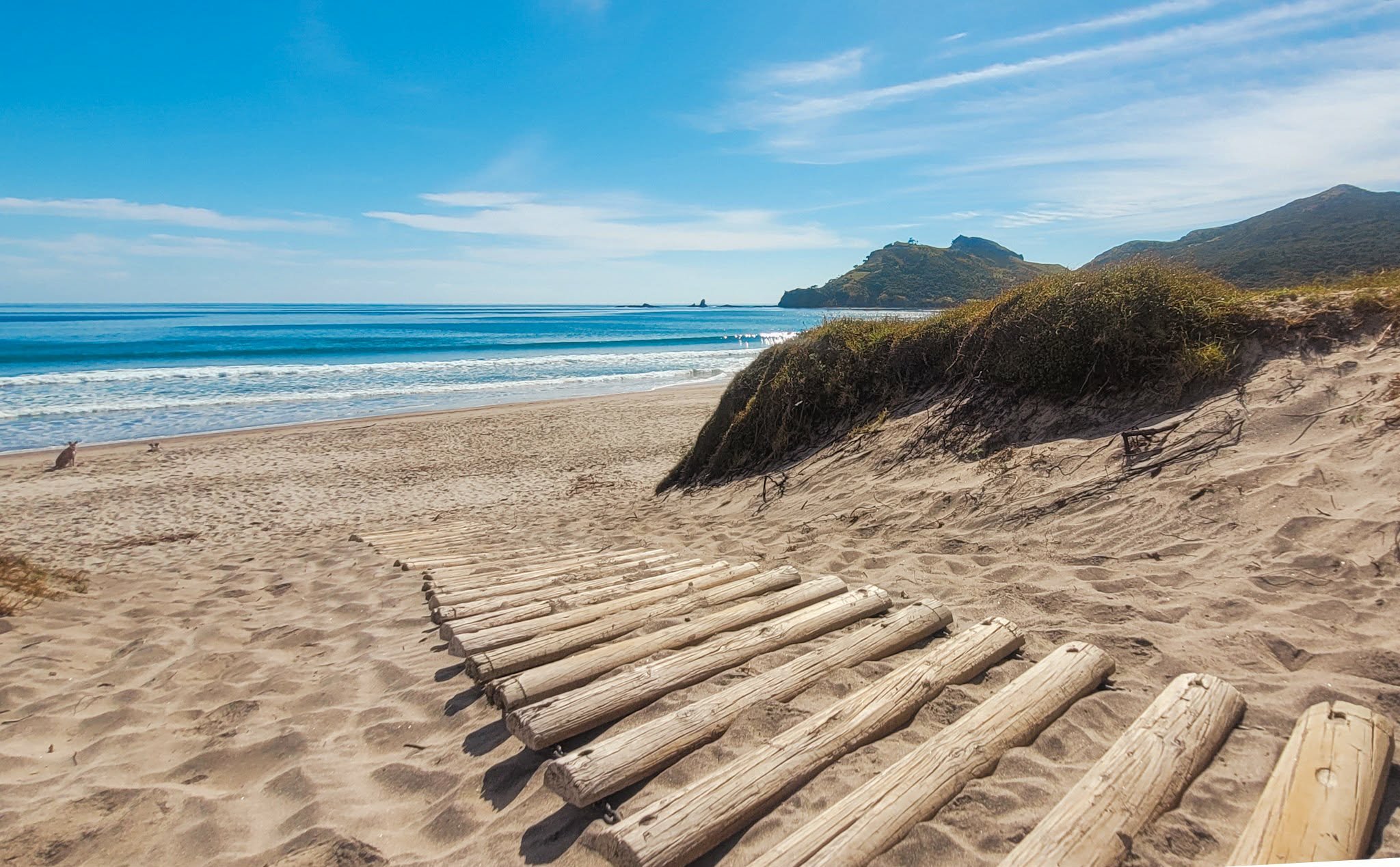 Sandy beach with wooden walkway, green shrubbery on sand dunes, and ocean waves under a blue sky with clouds.