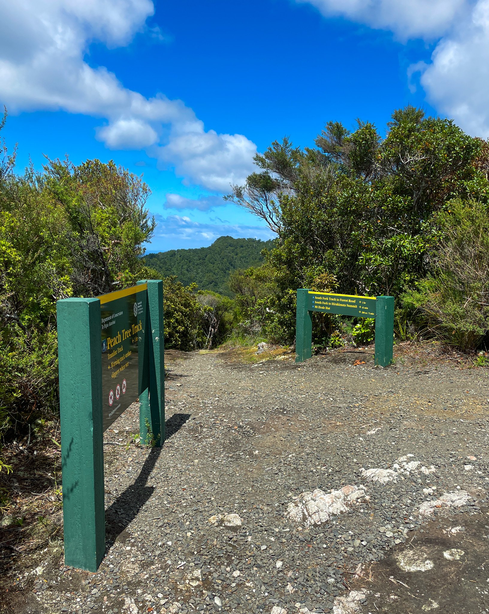 Trailhead for Peach Tree Track in a forested area with green foliage and a blue sky with clouds.