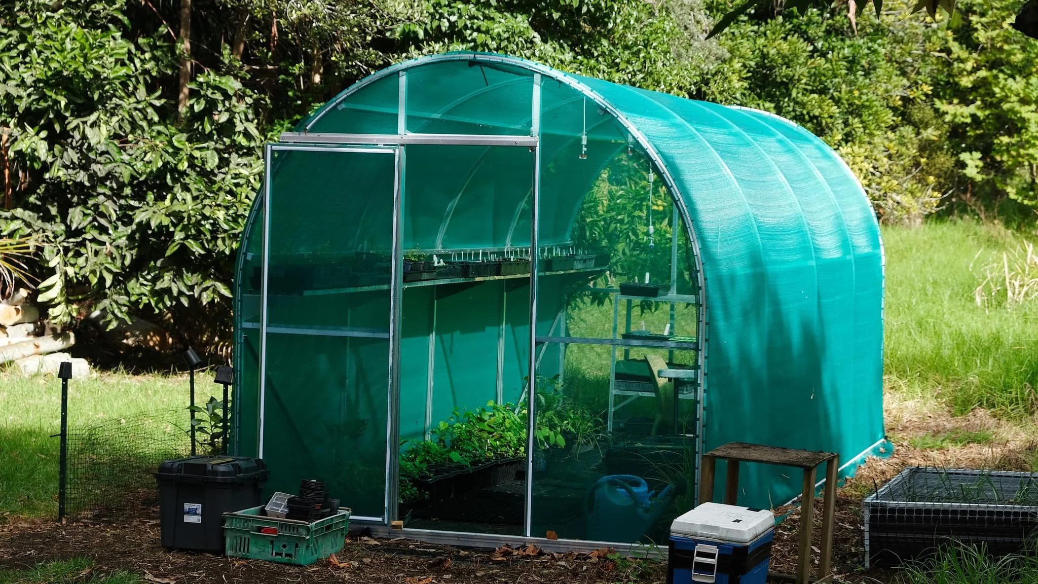 A small green greenhouse in a garden with plants inside, surrounded by grass and bushes, with gardening tools and supplies nearby.