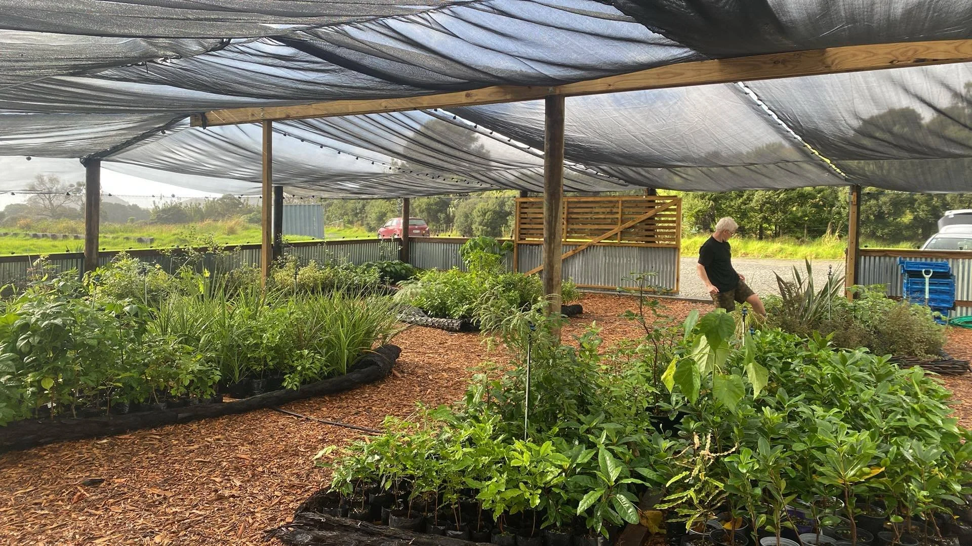 Motu Community Nursery, Aotea