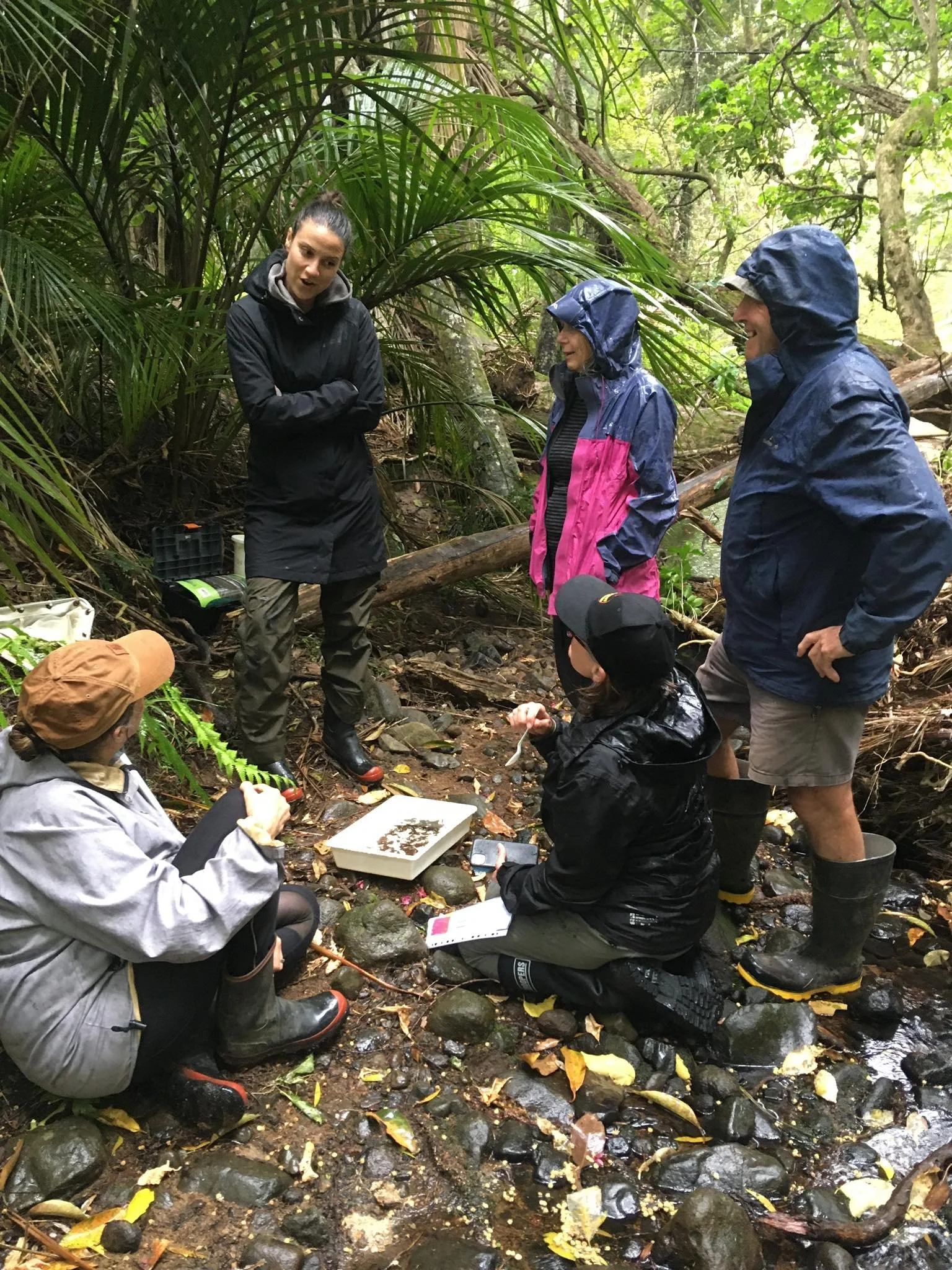 Group of people conducting a scientific study or research in a lush, green rainforest, with some wearing rain jackets and boots, gathered around a tray and taking notes.