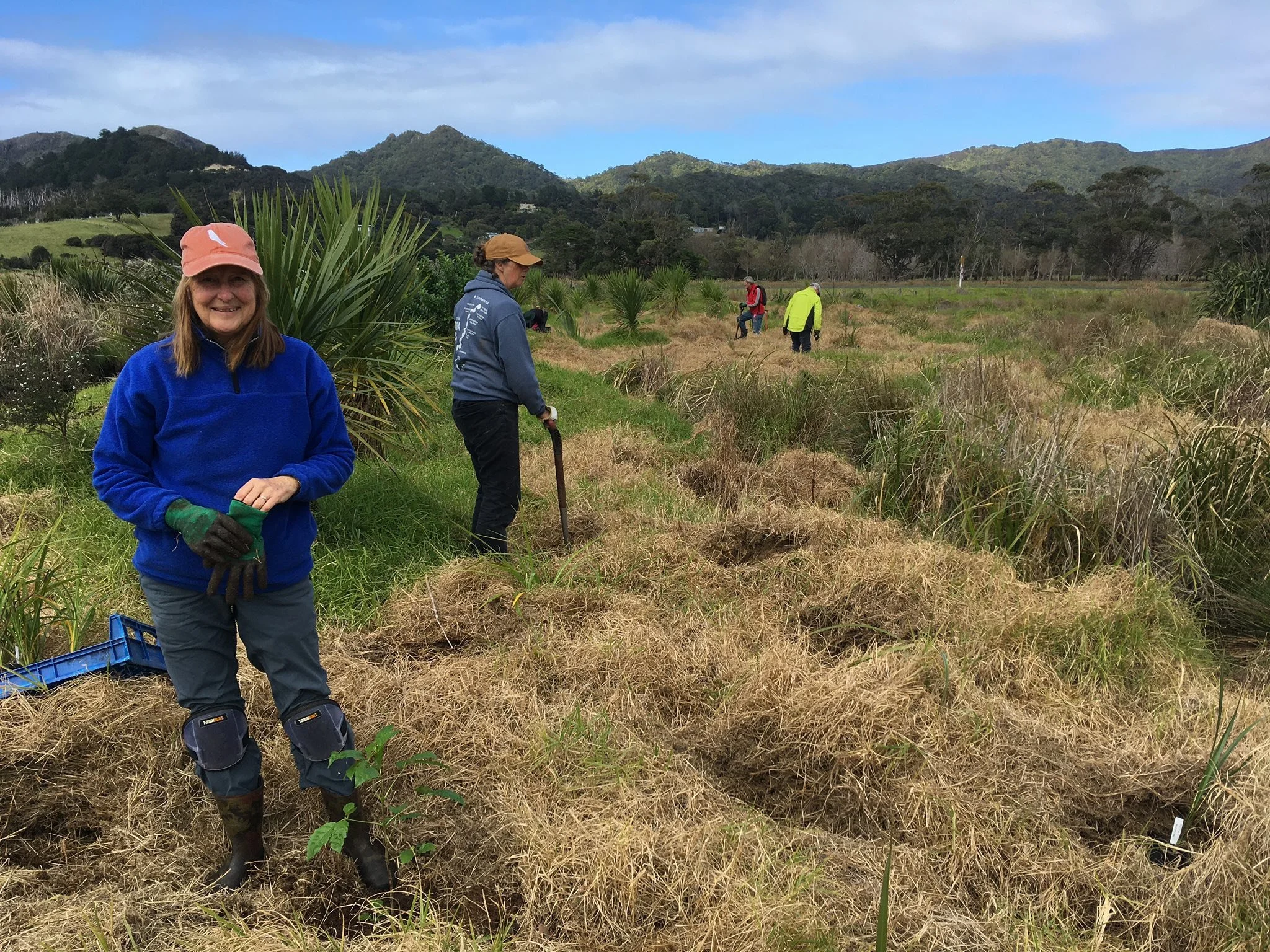 Group of people planting trees in a grassy field with mountains in the background.