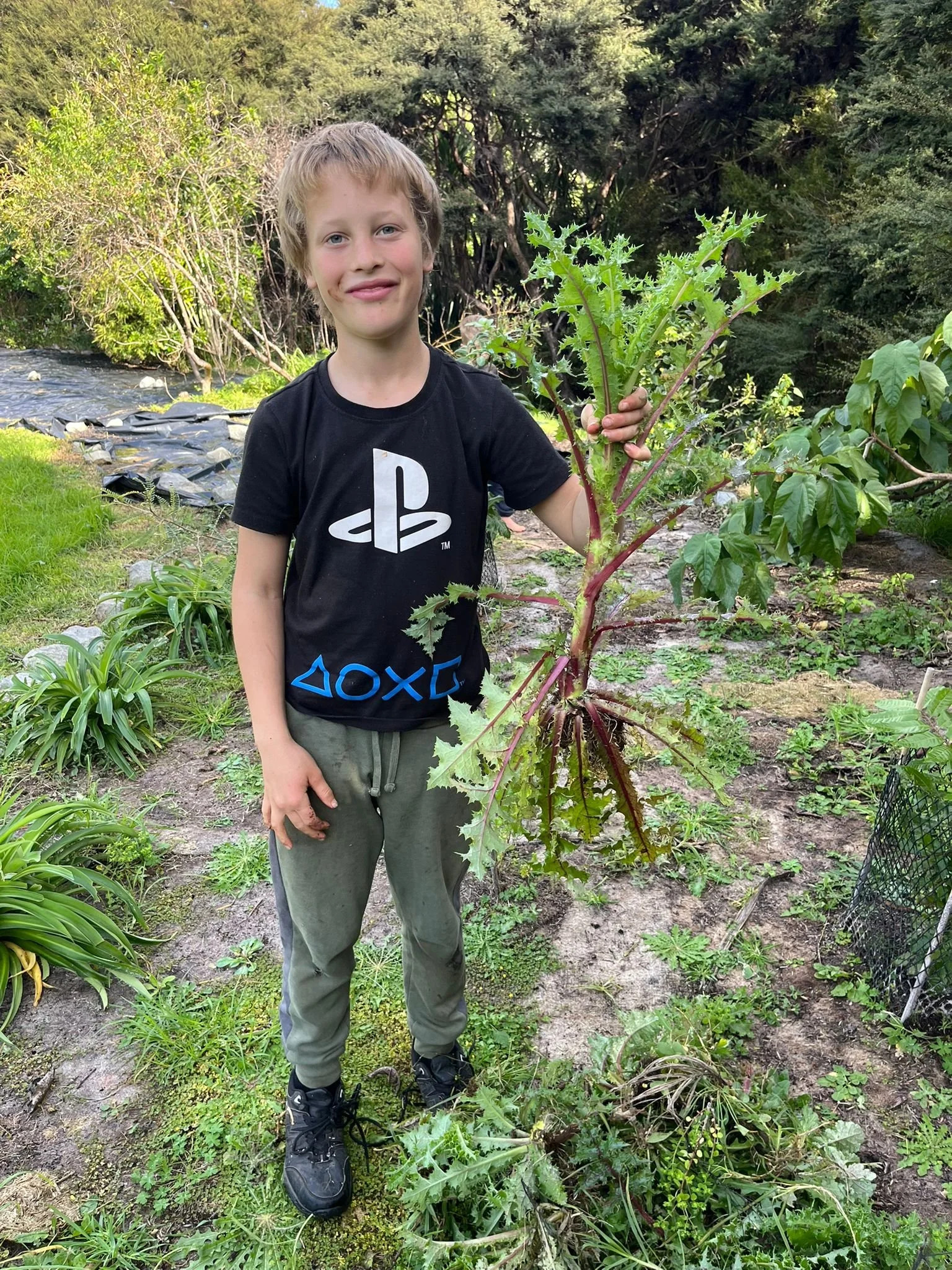 Young boy for the planting day on Aotea/Great Barrier Island.