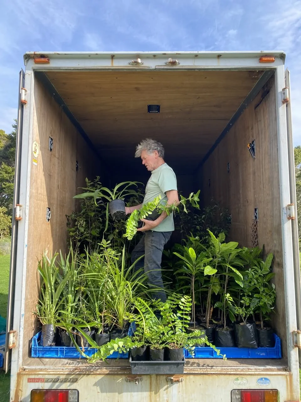 Man standing inside a truck filled with various potted plants, looking down at a plant in his hands.