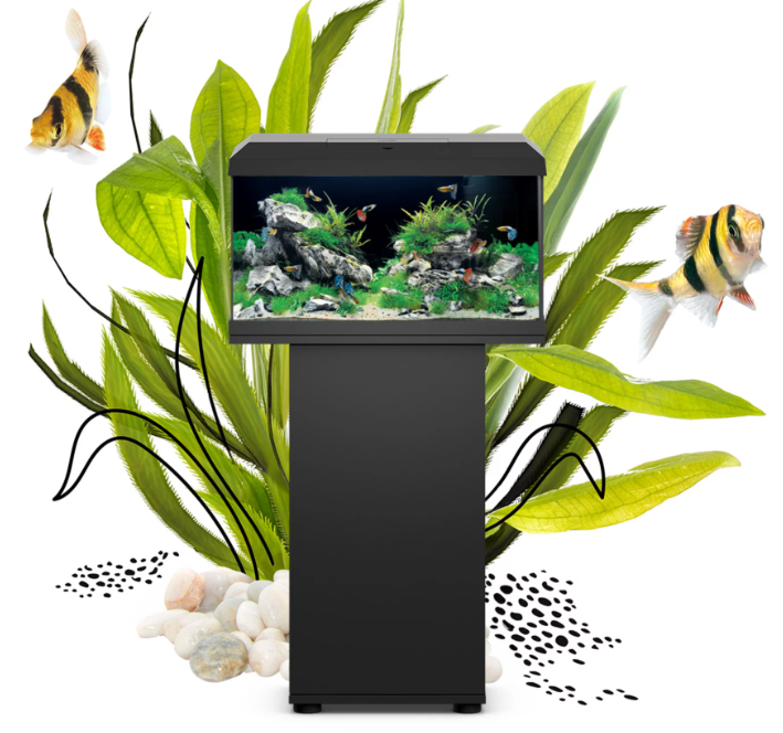 Aquarium with fish on a stand surrounded by green plants and rocks.