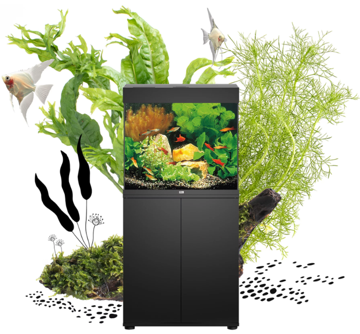 Aquarium with fish in front of lush green plants and decorative elements, with illustrated plants and fish surrounding it.