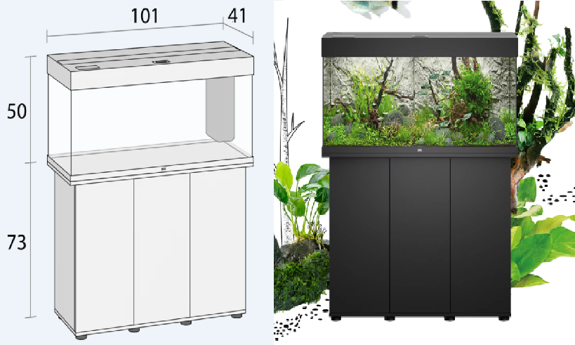 Comparison of an aquarium stand with dimensions and a finished aquarium setup with greenery and aquatic plants.