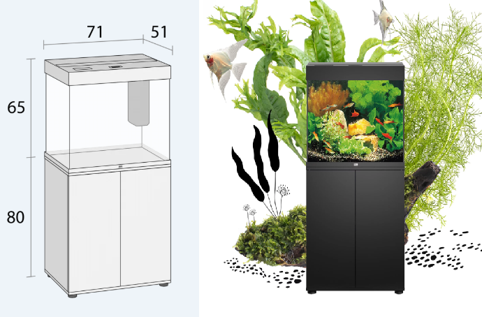 Diagram of a fish tank stand with dimensions and a photo of a fully assembled fish tank with aquatic plants and fish, set against a background with plants, rocks, and fish.