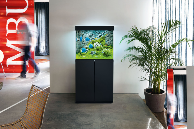 Aquarium with colorful fish on a black cabinet in a modern interior space with a large potted plant and a person walking past.