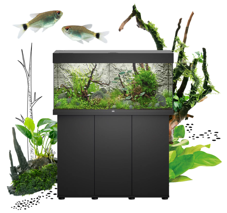 An aquarium with fish, plants, and driftwood, positioned on a black cabinet, surrounded by illustrated plants and rocks.