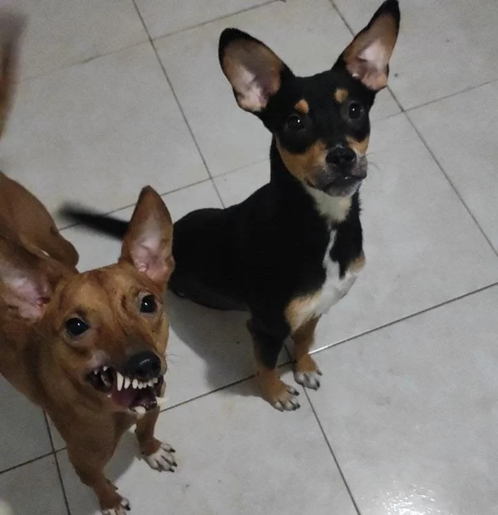 WhatsApp Image 2025-12-10 at 21.10.08.jpeg