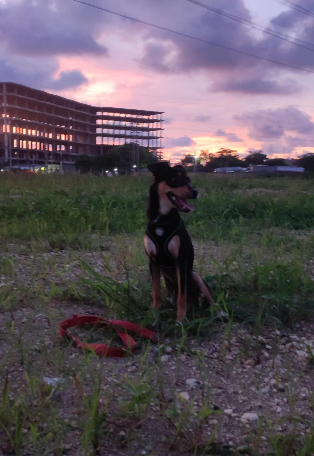 WhatsApp Image 2025-12-10 at 21.10.08 (1).jpeg