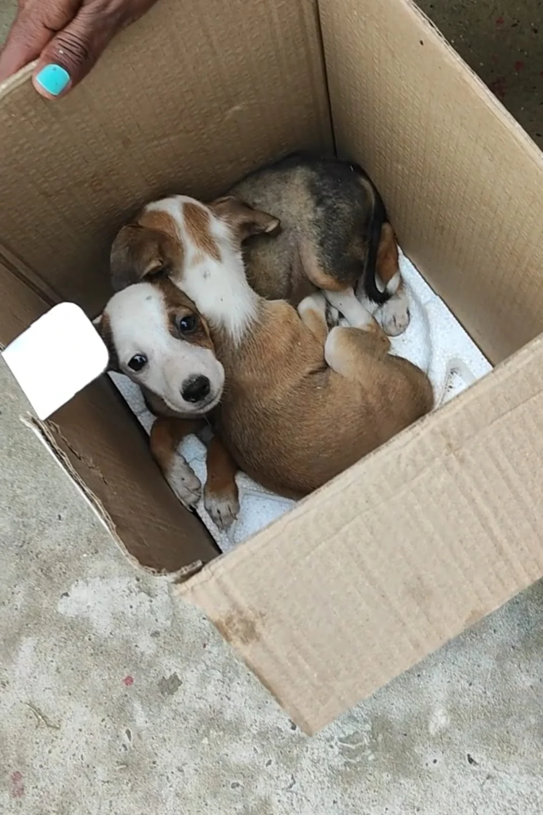 WhatsApp Image 2025-12-10 at 18.37.33.jpeg