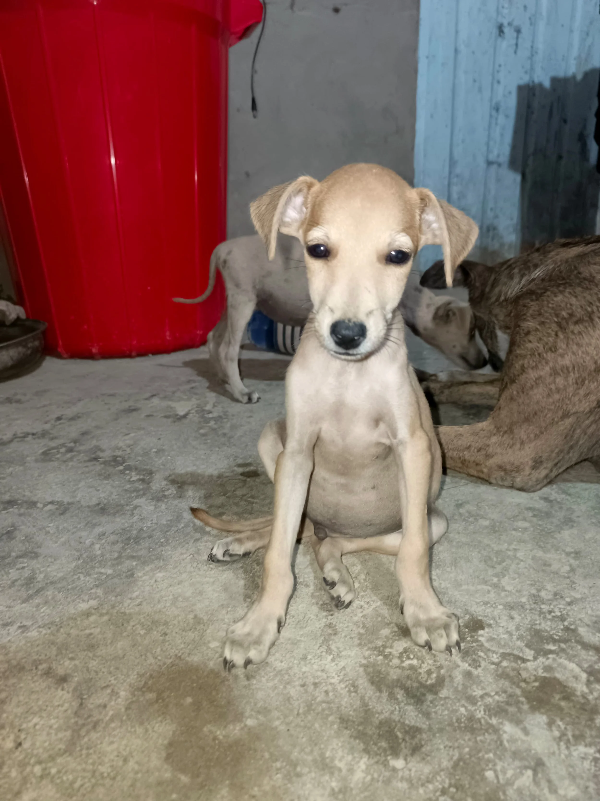 WhatsApp Image 2025-12-11 at 13.27.25 (1).jpeg