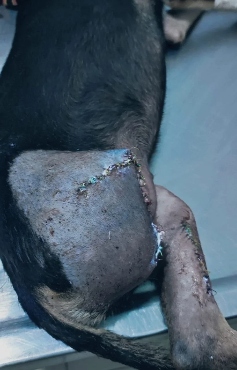 WhatsApp Image 2025-12-09 at 16.01.45.jpeg