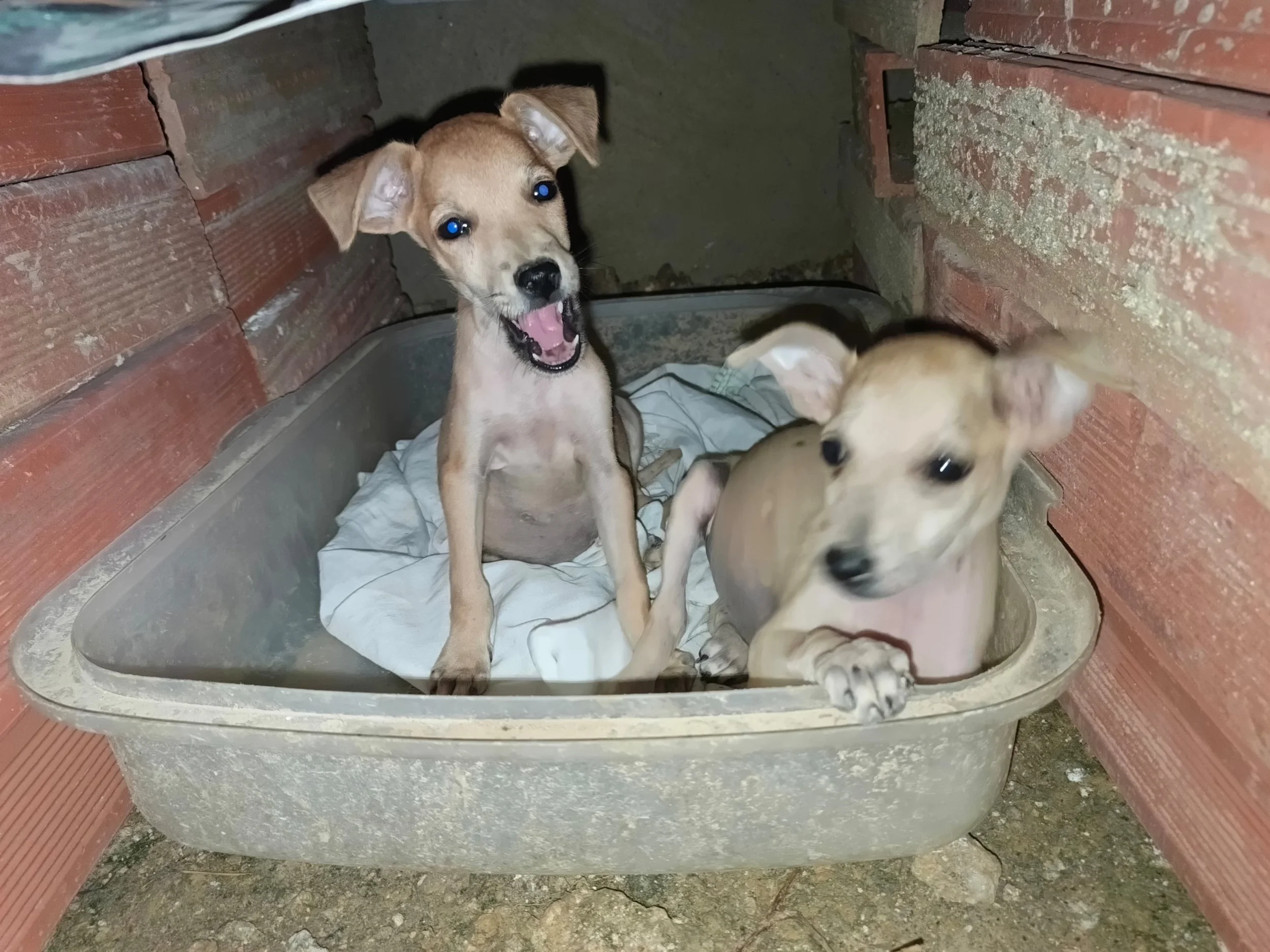 WhatsApp Image 2025-12-11 at 13.27.25.jpeg