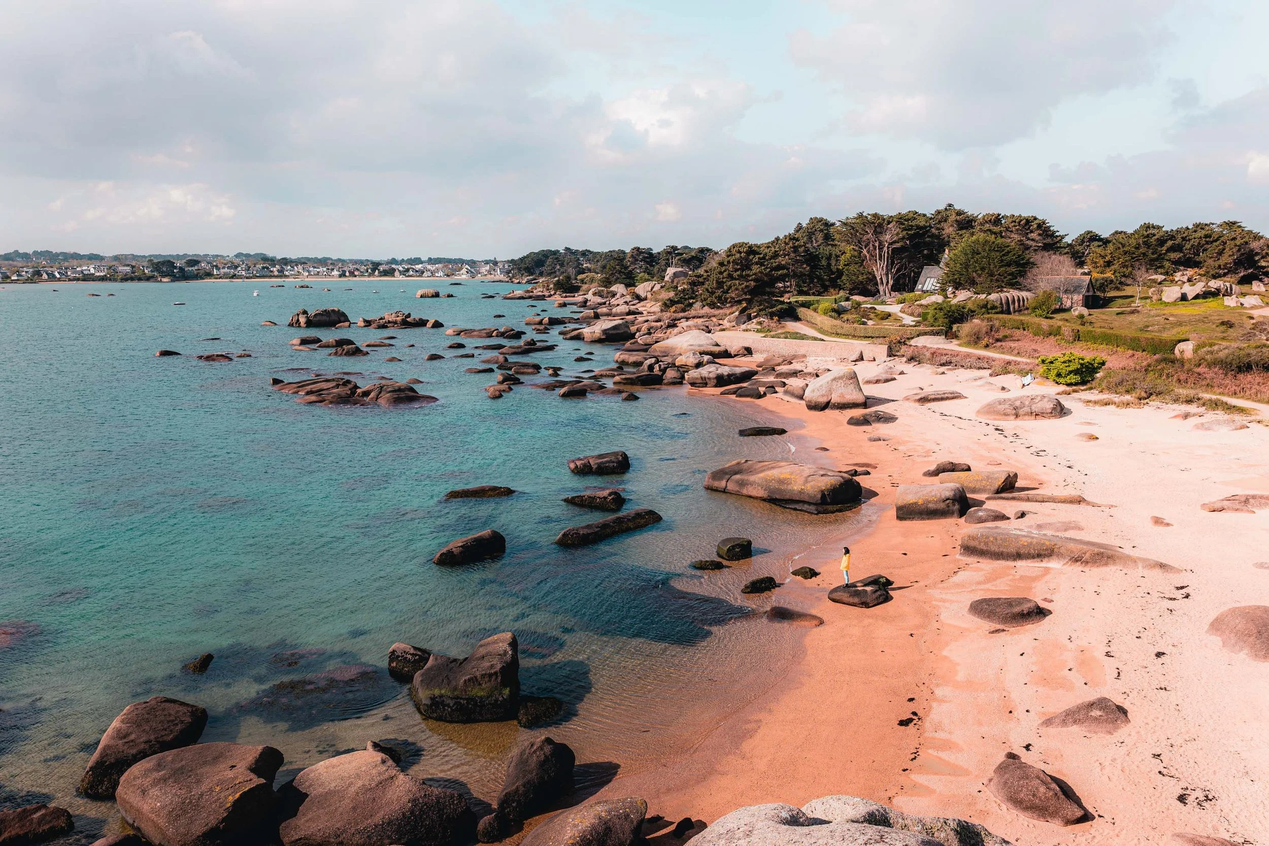 L1010902.jpg