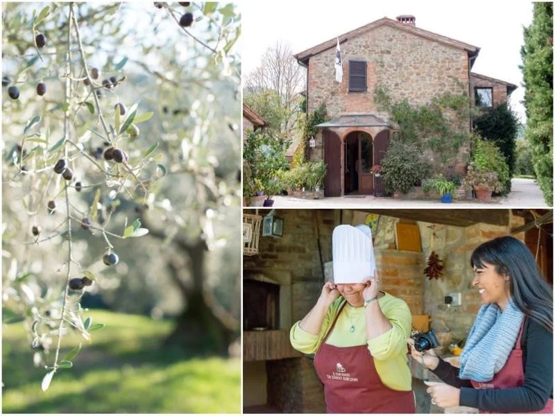 A collage of three images showing an olive branch with olives, a rustic house with plants, and two women in a kitchen, one holding a chef's hat and the other holding a camera.
