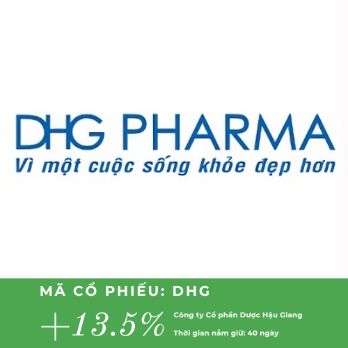 Dimon holdings (6).png