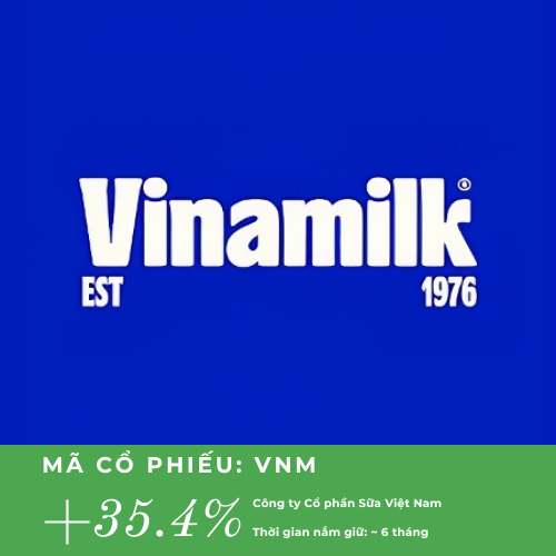 Dimon holdings (4).png