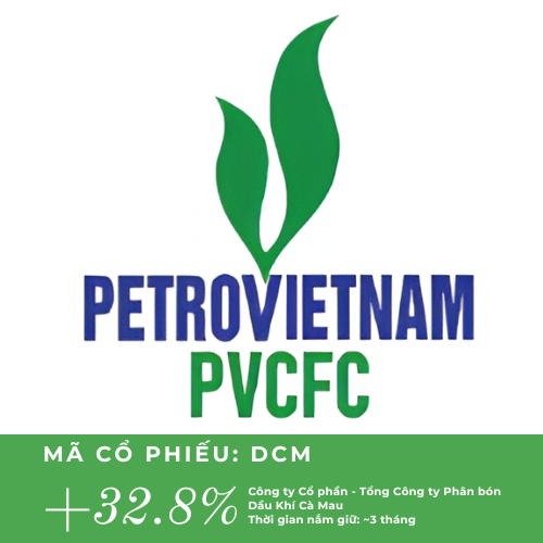 Dimon holdings (1).png