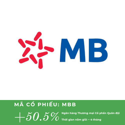 Dimon holdings (3).png