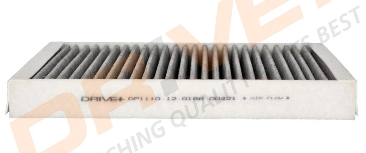 DP1110.12.0166  salono filtras