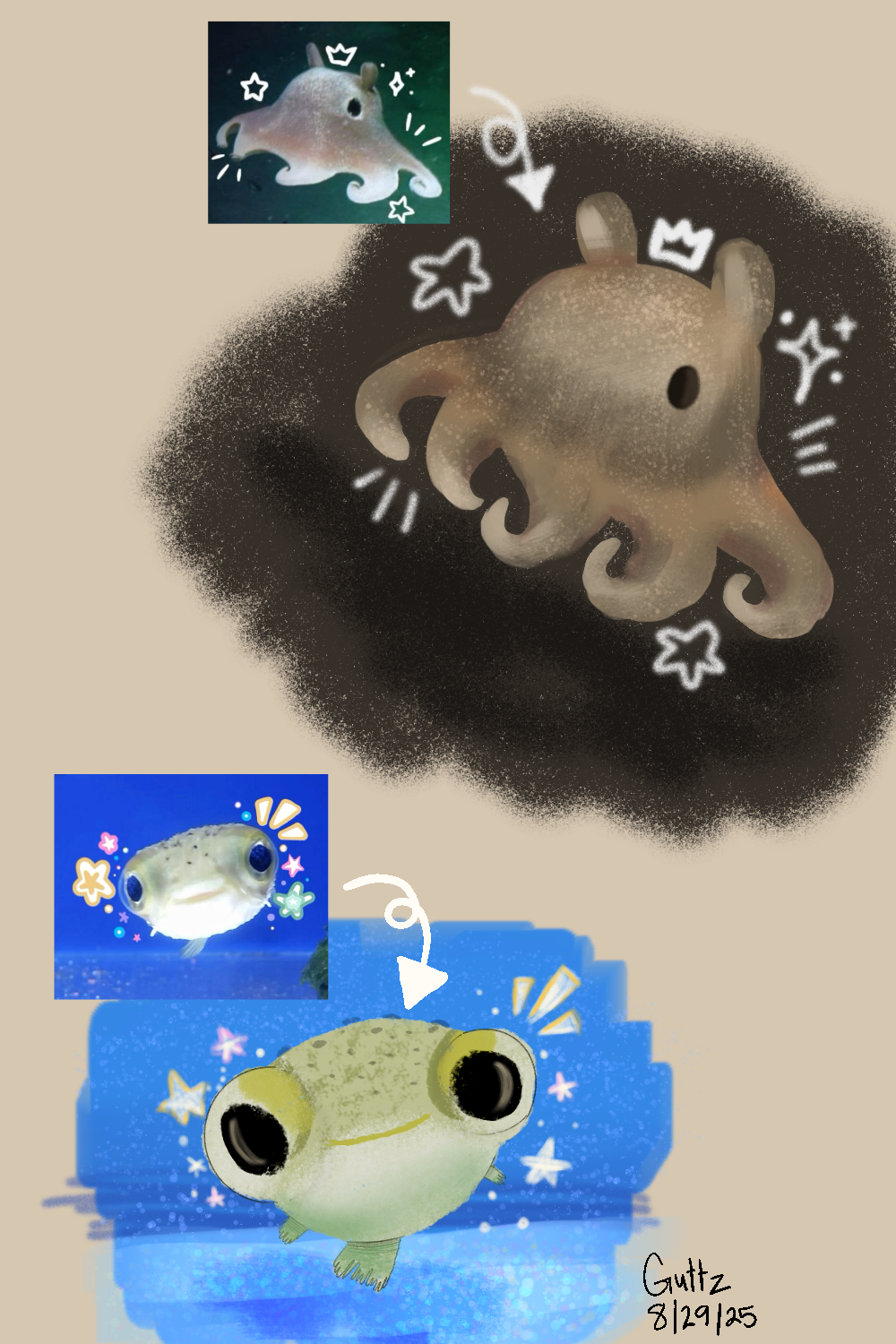Illustration of a cute octopus and a pufferfish with animated effects, with inset photos of real animals matching the cartoon characters. The octopus is depicted with a crown and stars, and the pufferfish has big eyes and a happy expression.