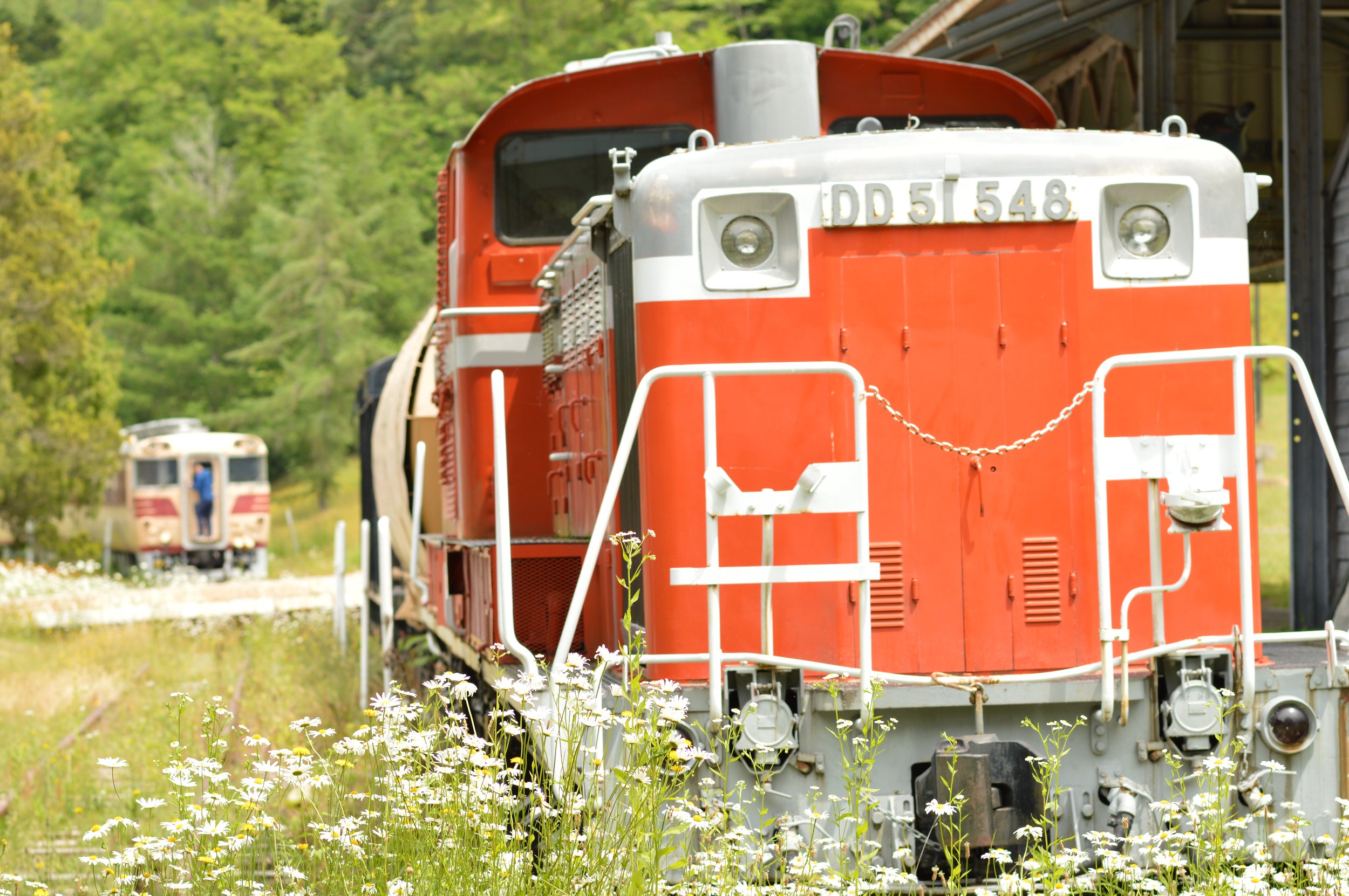 DSC_2037.JPG