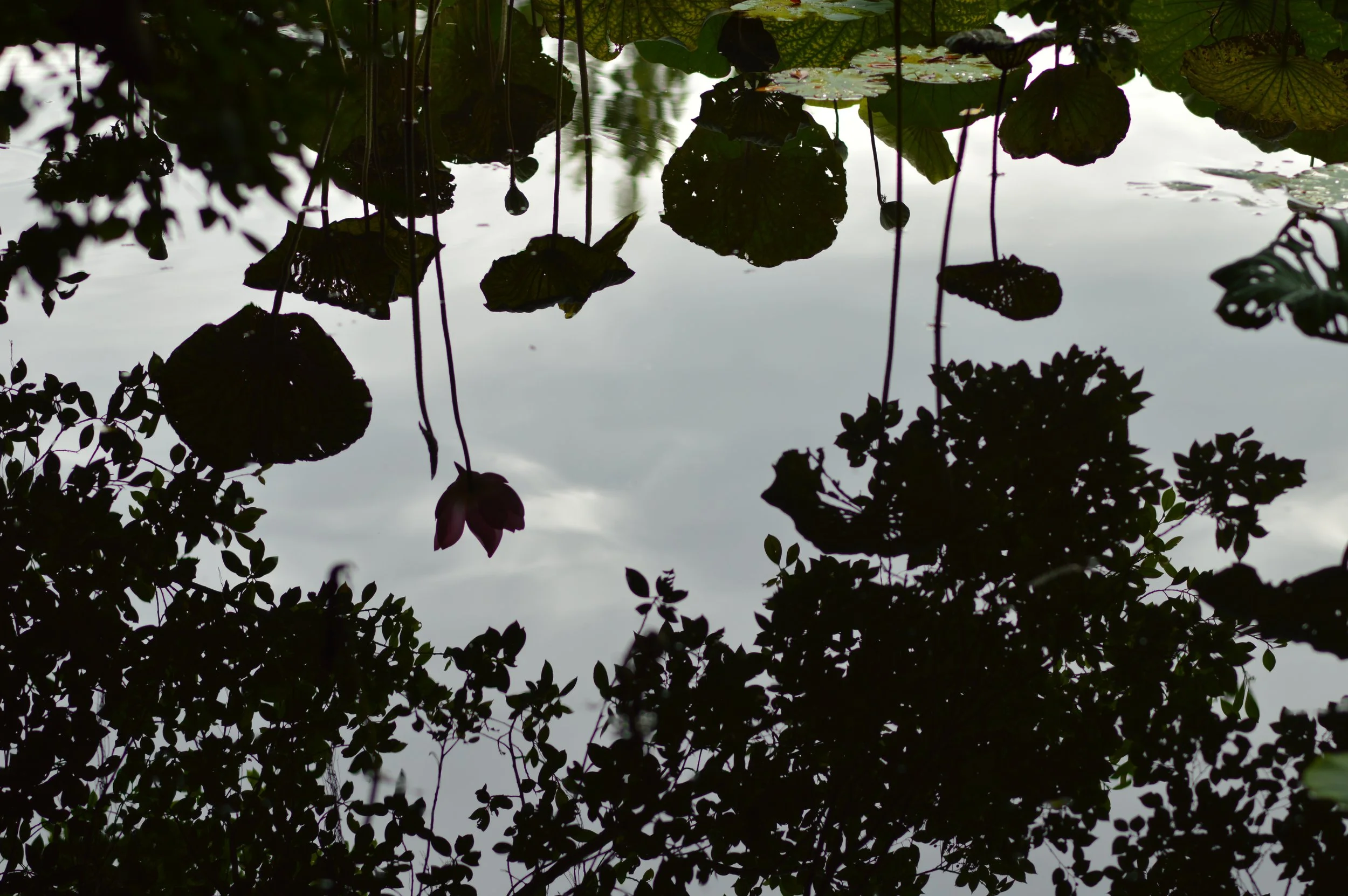 DSC_2030.JPG