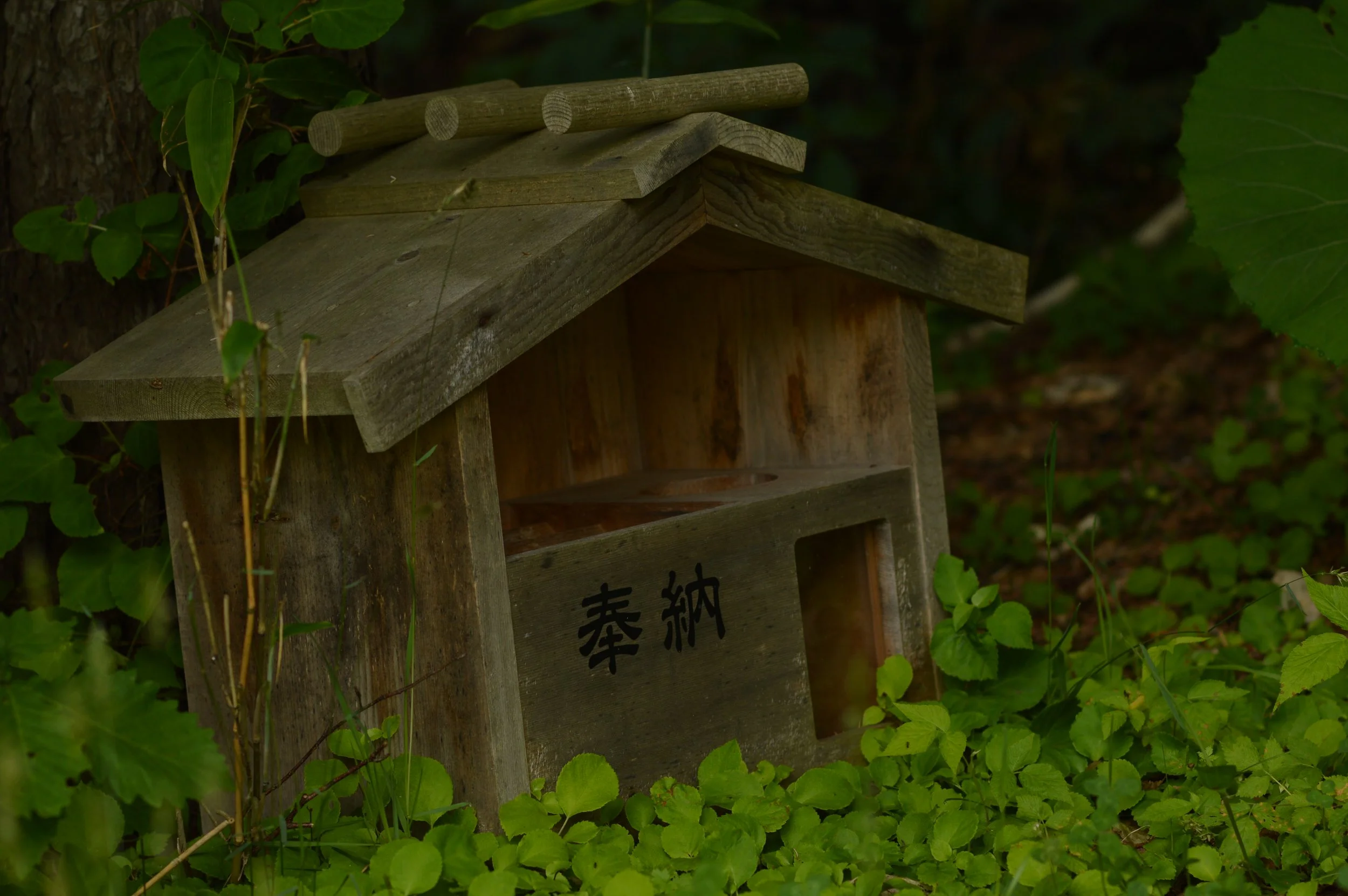 DSC_2068.JPG