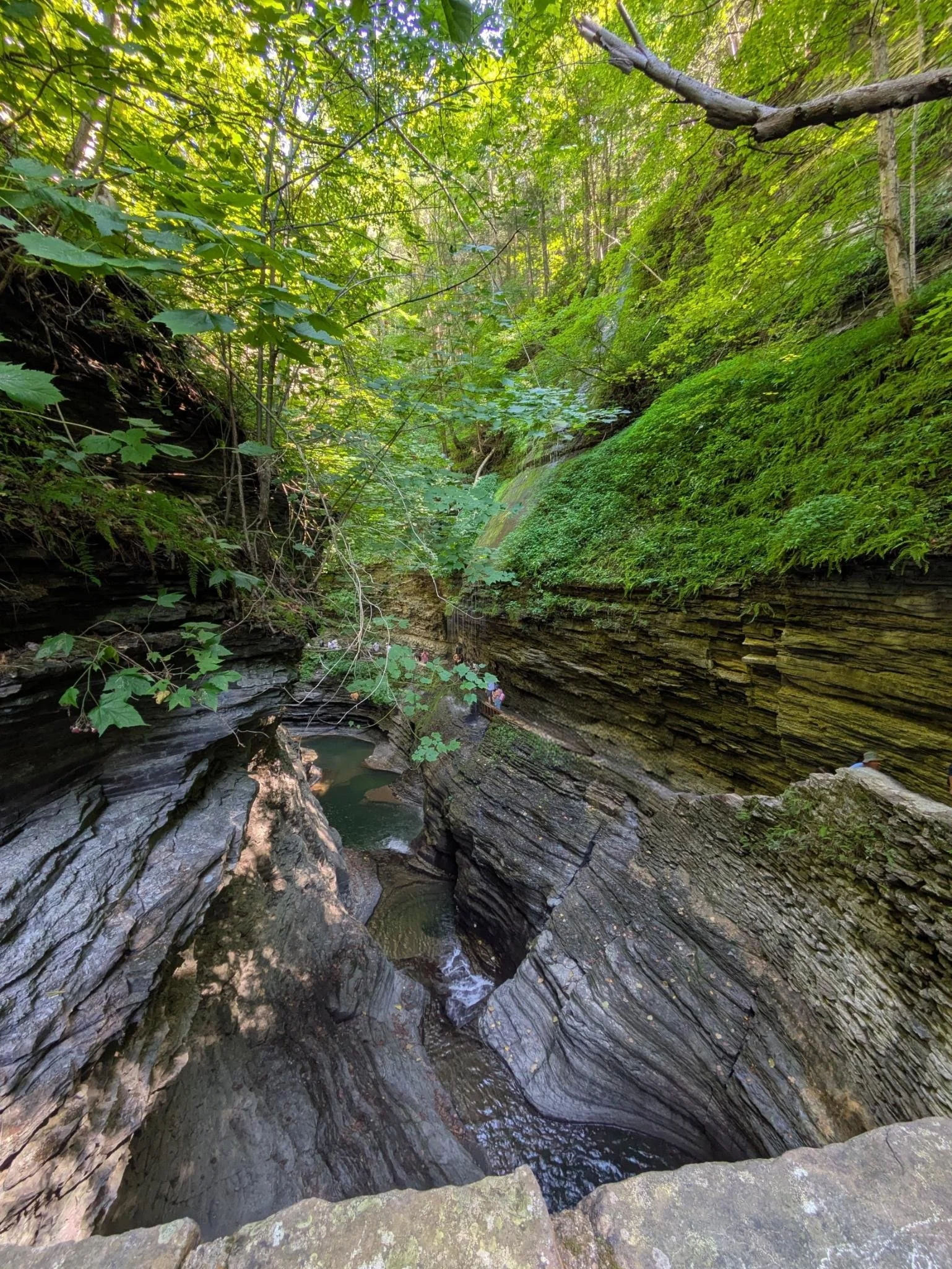 Photo of a deep canyon within green woodlands. At the bottom are running pools of water. At the top are layers of green moss and tree leaves glowing with light as sunbeams shine through the canopy. 