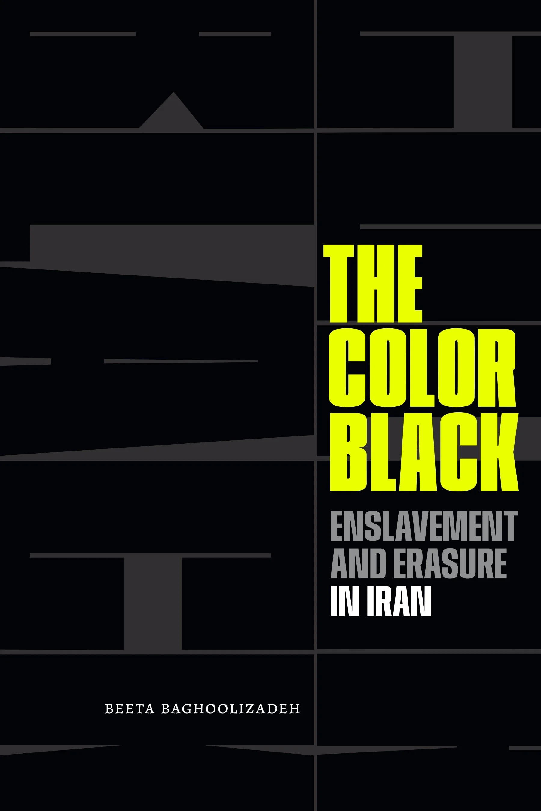 The Color Black: Enslavement and Erasure in Iran by Beeta Baghoolizadeh