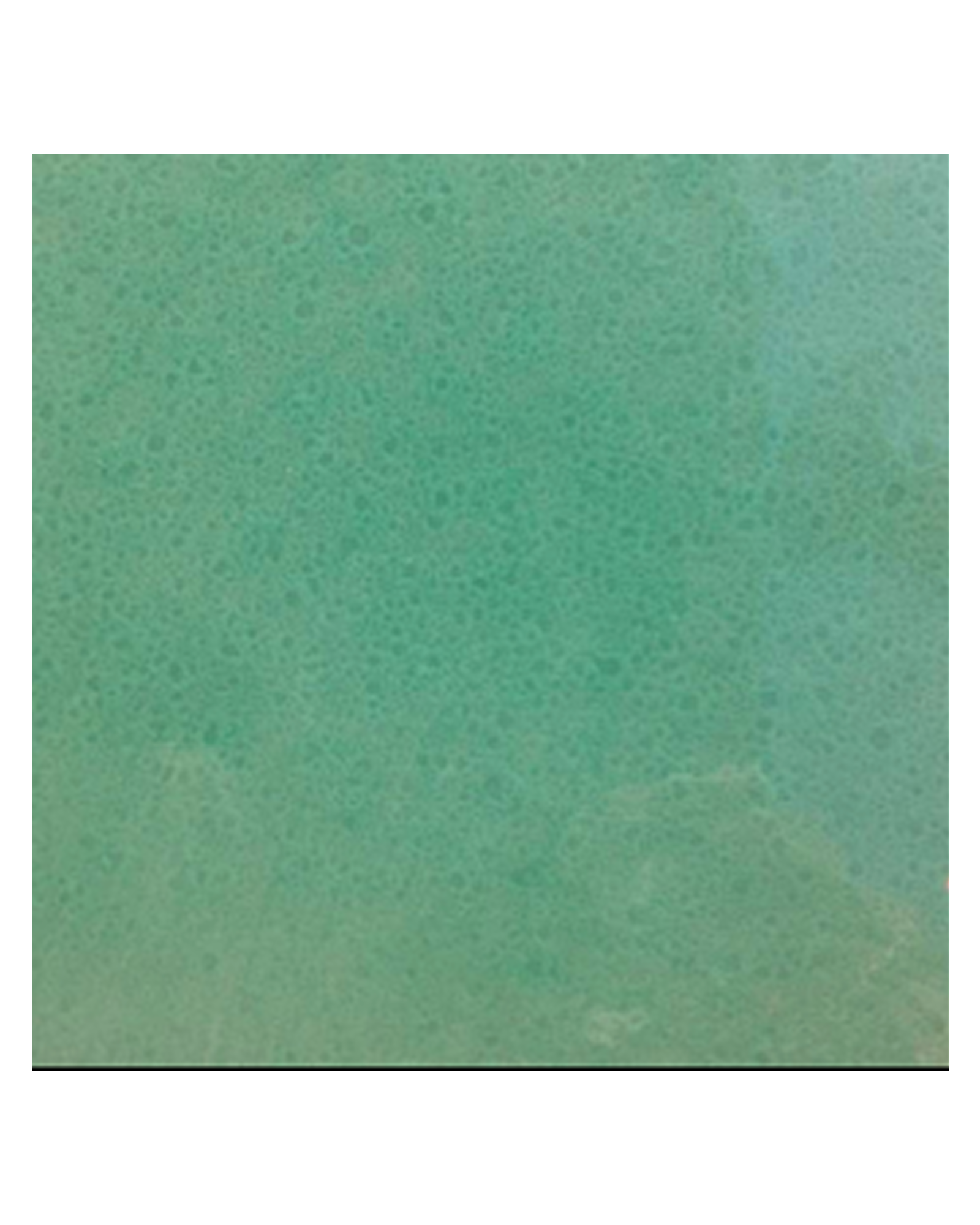 Solid - Light Green - Ceramic Tiles - CASA PLETÓRICA.png