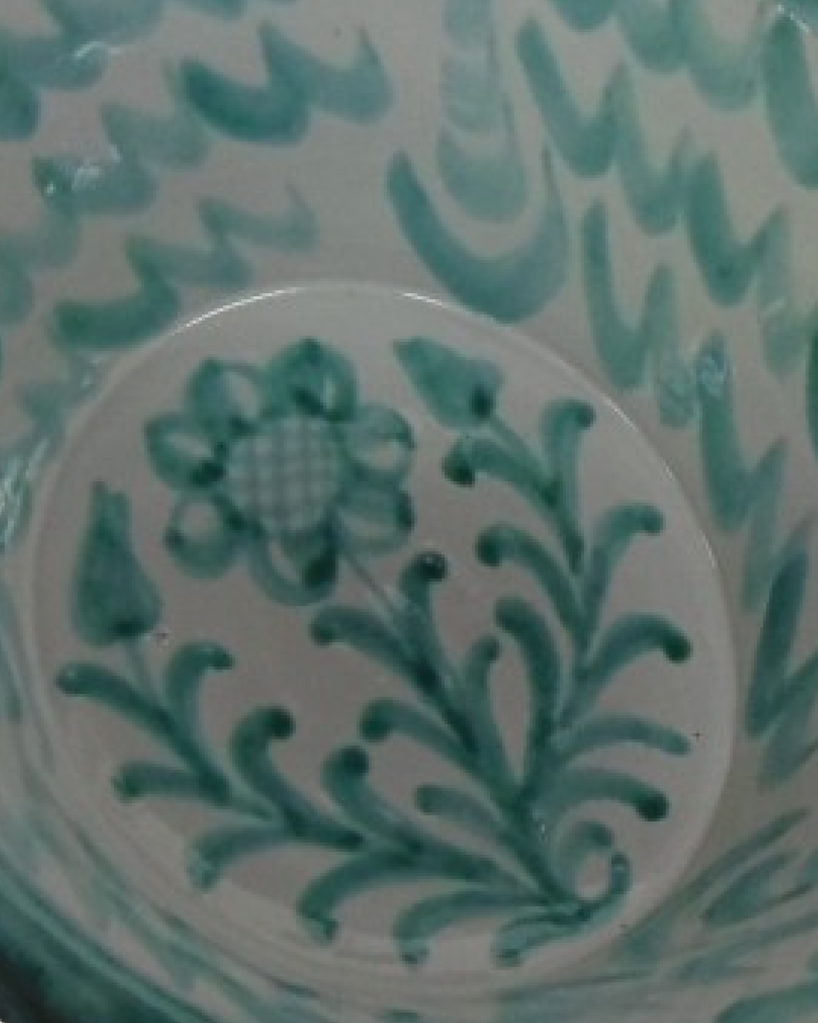 Gavilla Lebrillo in Green with Painted Border - Closeup — CASA PLETÓRICA.png